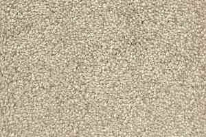 Ковролин  Beige фото  | FLOORDEALER